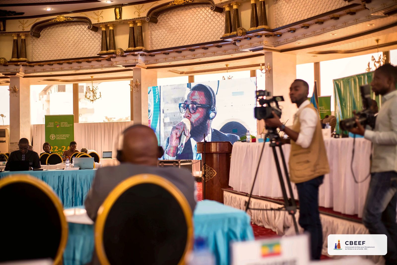 La CBEEF à la 23e session de la Commission des forêts et de la faune sauvage pour l’Afrique, Kinshasa, août 2022